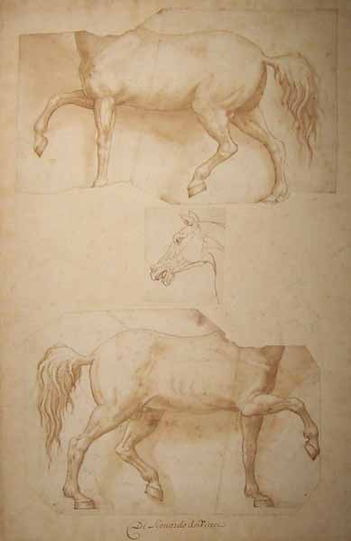 Three Studies of a Horse